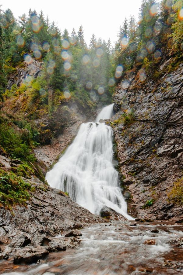 Pensiunea Popas In Apuseni Рэкицеле Экстерьер фото